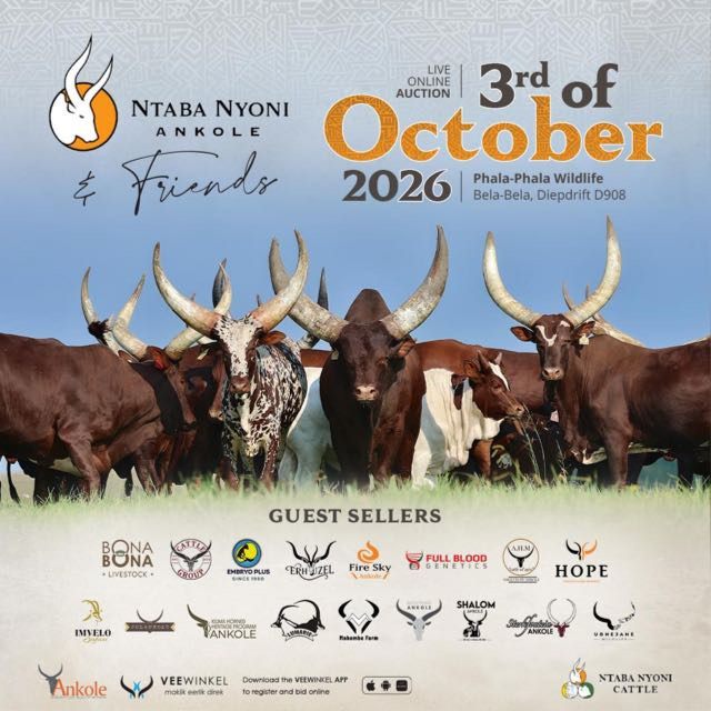Ntaba Nyoni Ankole and Friends auction, 3 October 2026